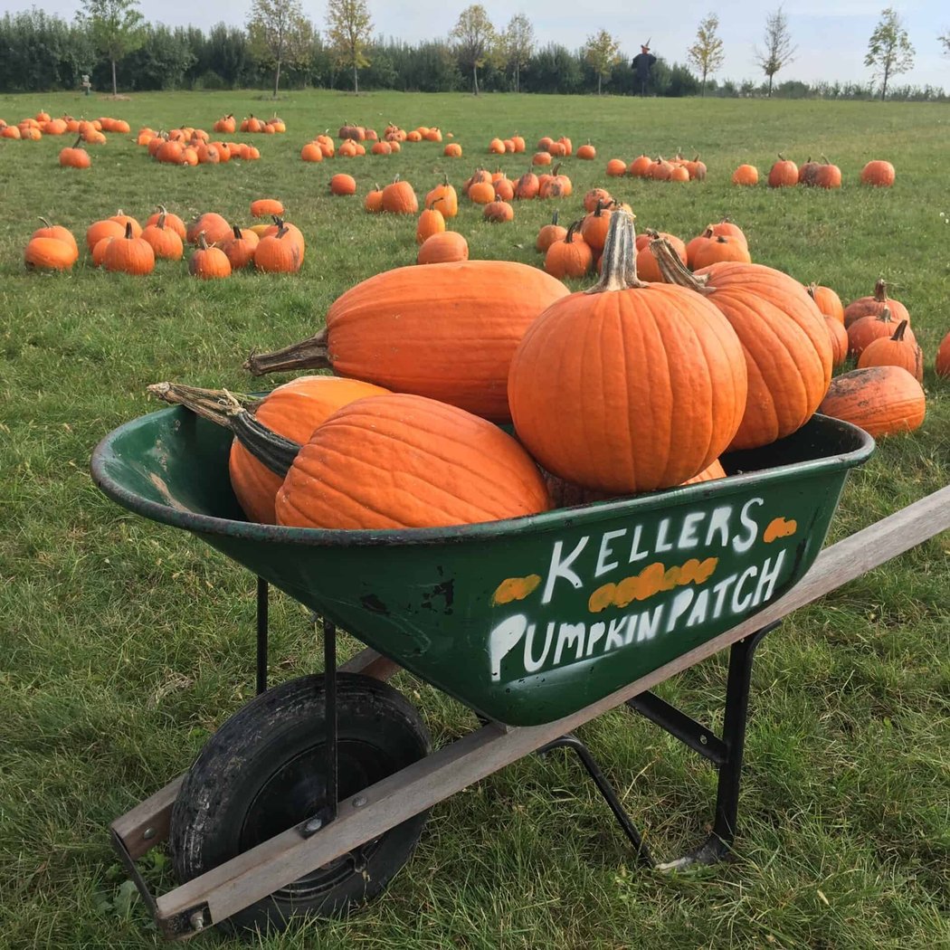 Keller’s Farmstand 1